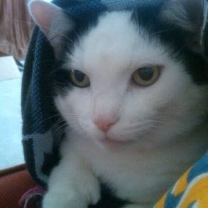 Meet your Posher, Tammy